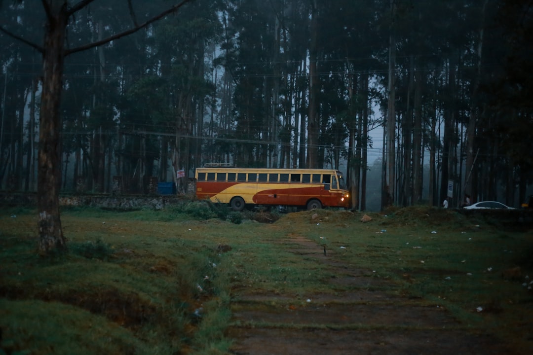 Kino objazdowe w PRL – kiedy film przyjeżdżał na wieś